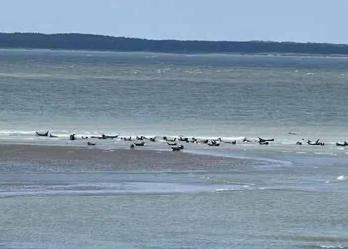 度假居 L'ecluse *